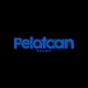 Pelataan casino